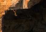 [Chris Sharma : The Legacy Continues - Video Image, 1 kb]