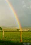 [Rainbow - Cody, Wyoming, USA, 0 kb]