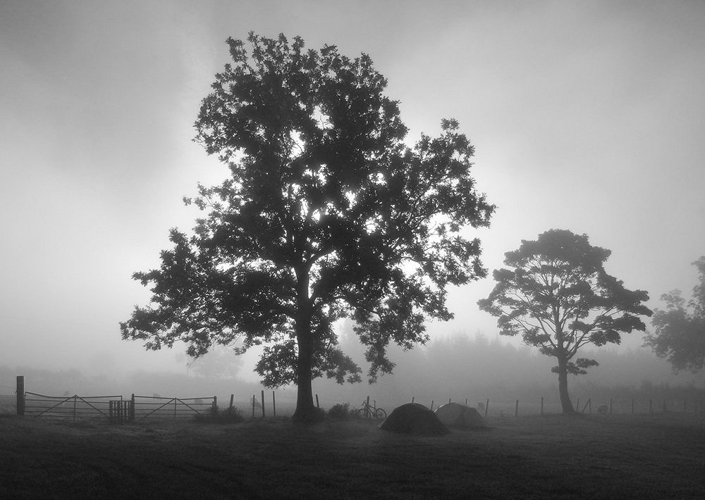 Morning Fog  © stephjones100
