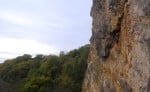 Amanita Muscarina, Exploading Galexy Wall, Avon Gorge
