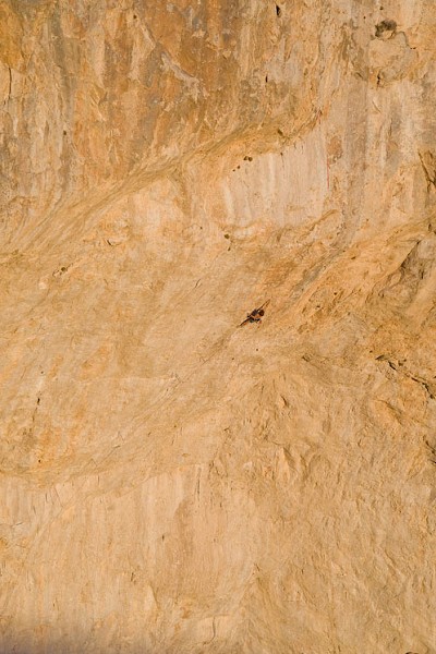 Chris Sharma on the huge sweep of limestone of Jumbo Love - F9b  © Boone Speed / Aurora Photos