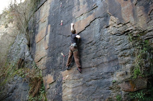 Food for Parasites F7a+  © Christian Reynish