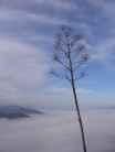 Cloud inversion at Espiel, Andalucia