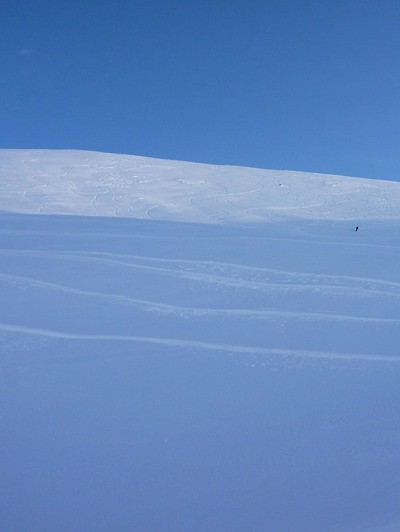 Lone skier in a sea off powder, Cairngorm Photo: Dan Goodwin  © Individual Photographers