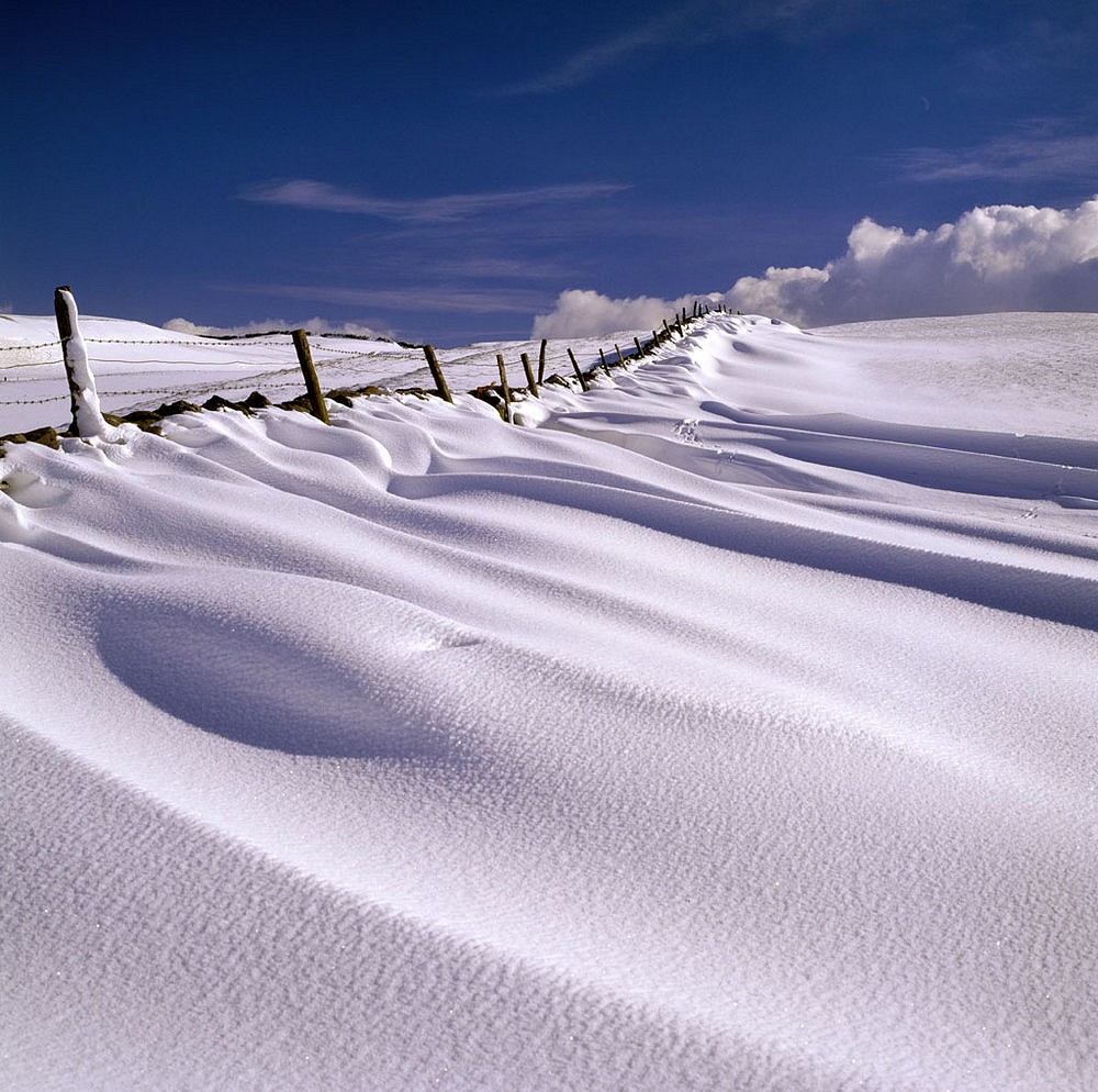 Snowdrift  © Pierino Algieri