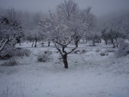 Costa Blanca weather - Feb 2010. this was meant to be a sunny climbing holiday - yikes