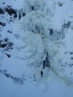 grey mares tail 2010
