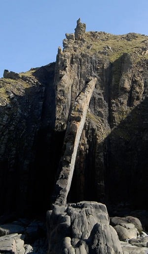 The slumping Middle Fin of Lower Sharpnose  © Mark Glaister