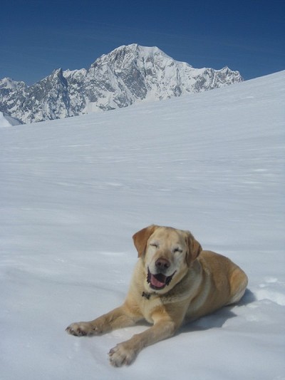 Meet your guide... Skip Rizzo enjoys a rest on the Pas entre deux sauts. Mont Blanc looms behind.  © jon