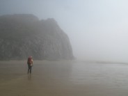 Misty at the Gower