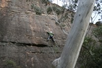 Greg climbing at Shipley Upper, Blue Mountains