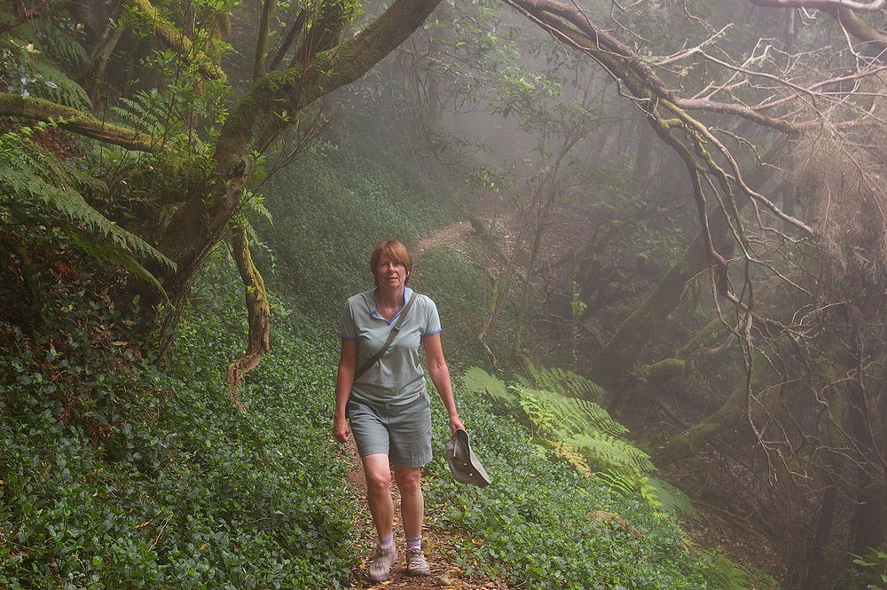 Walking on the island of La Gormera through the Laurisilva rainforest.  © John Smith