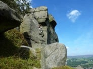 Chiseller, Ilkley, Cow and Calf