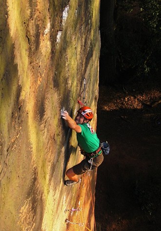 Latching the mono on Gathering Sun, Nesscliffe  © Laura Perry