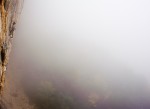 Latido del Miedo in morning fog