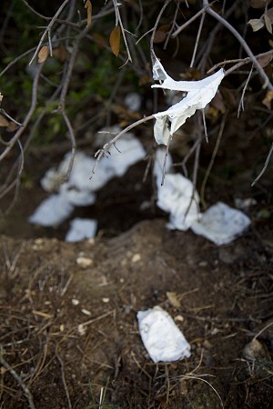 Toilet paper and human waste at the crag in Spain. NO NEED!  © Jack Geldard / UKC