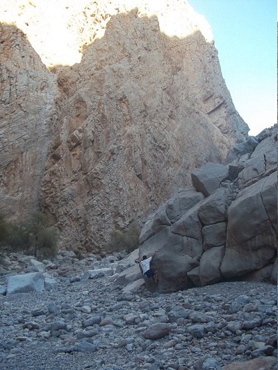 nice mantle problem in a remote Omani river bed  © chriswhite36