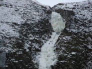 Grey Mares Tail