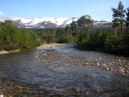 The Cairngorm in Spring