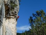 Enty on the best 6C at St Leger