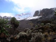 Kilimanjaro from Barranco camp