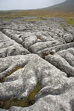 Limestone pavement  © Simon Webb