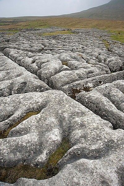 Limestone pavement
