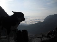 Cloud inversion and dog, Monzino hut.