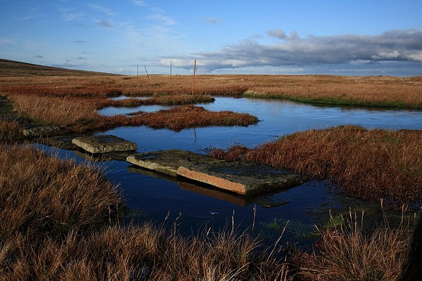 Pennine peatlands  © Dan Bailey