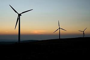 Windfarm  © Tom Hutton