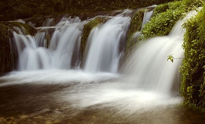 Lathkill Dale waterfalls  © Paul Phillips