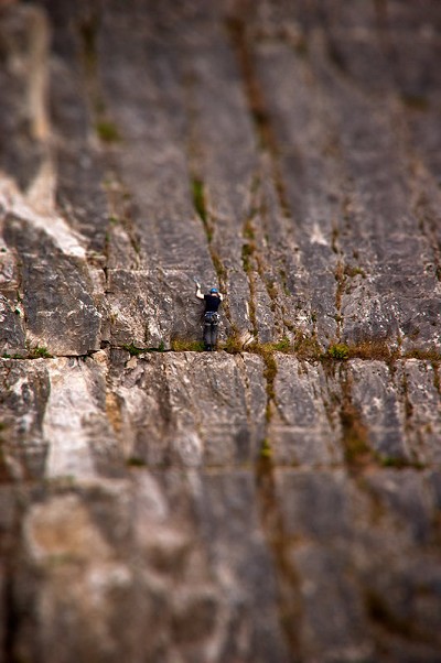 Alone on a ledge...  © Rob Steptoe