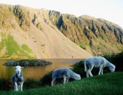 wast water