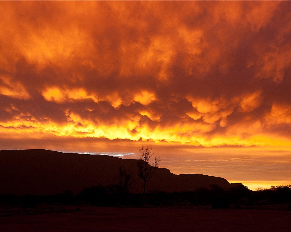 Sunset behind Mount Augustus, Western Australia  © chris_jackson