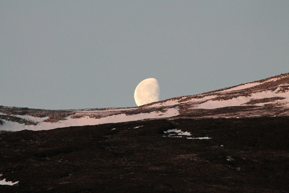 Early morning on Lochnagar walk in.  © The Ellon Yeti