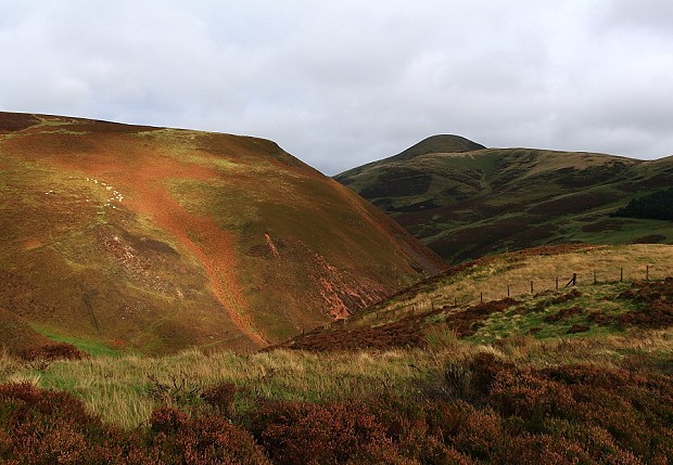 If you go down to the Pentlands today you might have a big surprise  © Dan Bailey - UKHillwalking.com