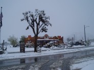 Snow at Joshua Tree
