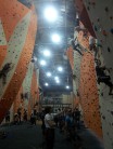 Photo showing main climbing area of Reading Climbing Centre. There is also a bouldering area not shown.