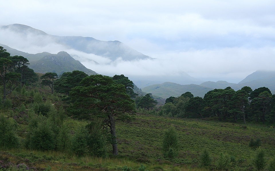 Glen Affric, where replanting efforts are showing results   © Dan Bailey