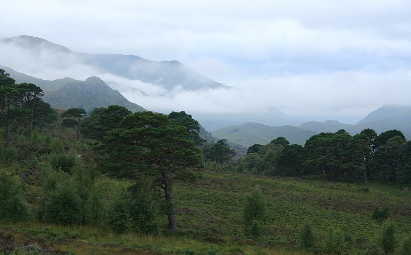 Glen Affric, where replanting efforts are showing results   © Dan Bailey