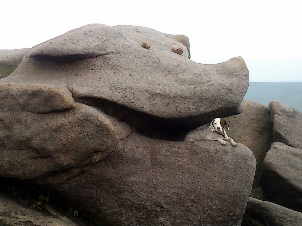 Kinder Scout Rock formations. Amazing erosion of the rocks on the southern edges has given us a Gritstone Pig.  © ARK