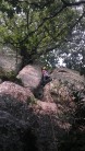 James on "Titch" at Carmear Rock.