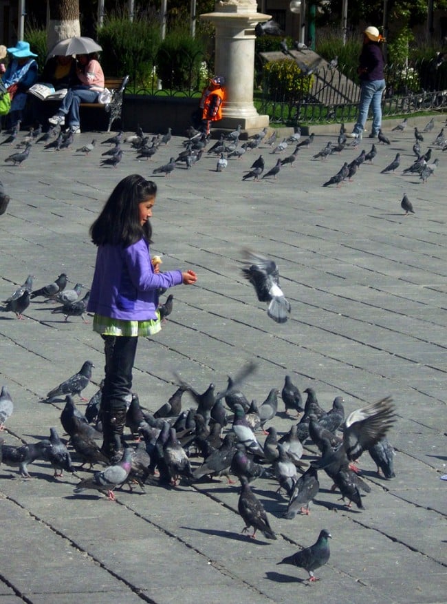 Girl feeding the pigeons in La Paz, Bolivia.  © Charlie Boscoe