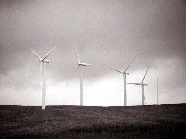 wind farm  © mcofs