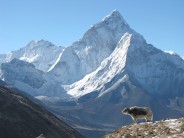 Ama Damblam on a crisp Himalayan morning