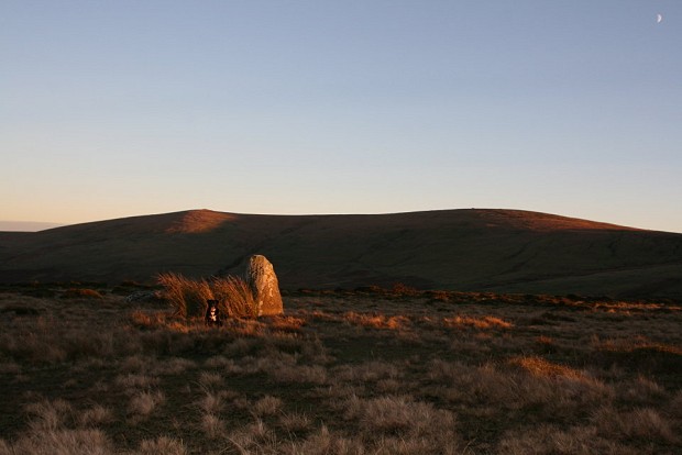 Typical Preseli terrain on the penultimate summit of the Beast  © Carwyn Pillips