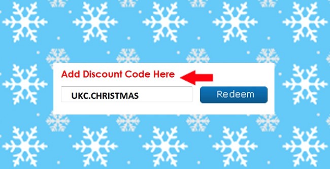 FREE Christmas Shopping Discount Voucher! #1  © ems