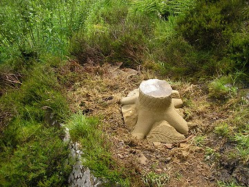 Fossil tree stump sculpture  © Stevan Tica