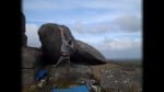 Video Snapshot of a new problem up Trewortha Tor.