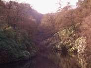 The calm waters of Shooters clough flowing into the Errwood Reservoir on a sunny winters afternoon in the Goyt valley.